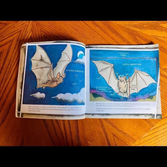Bats 🦇 By Gail Gibbons - Picture 6 of 13